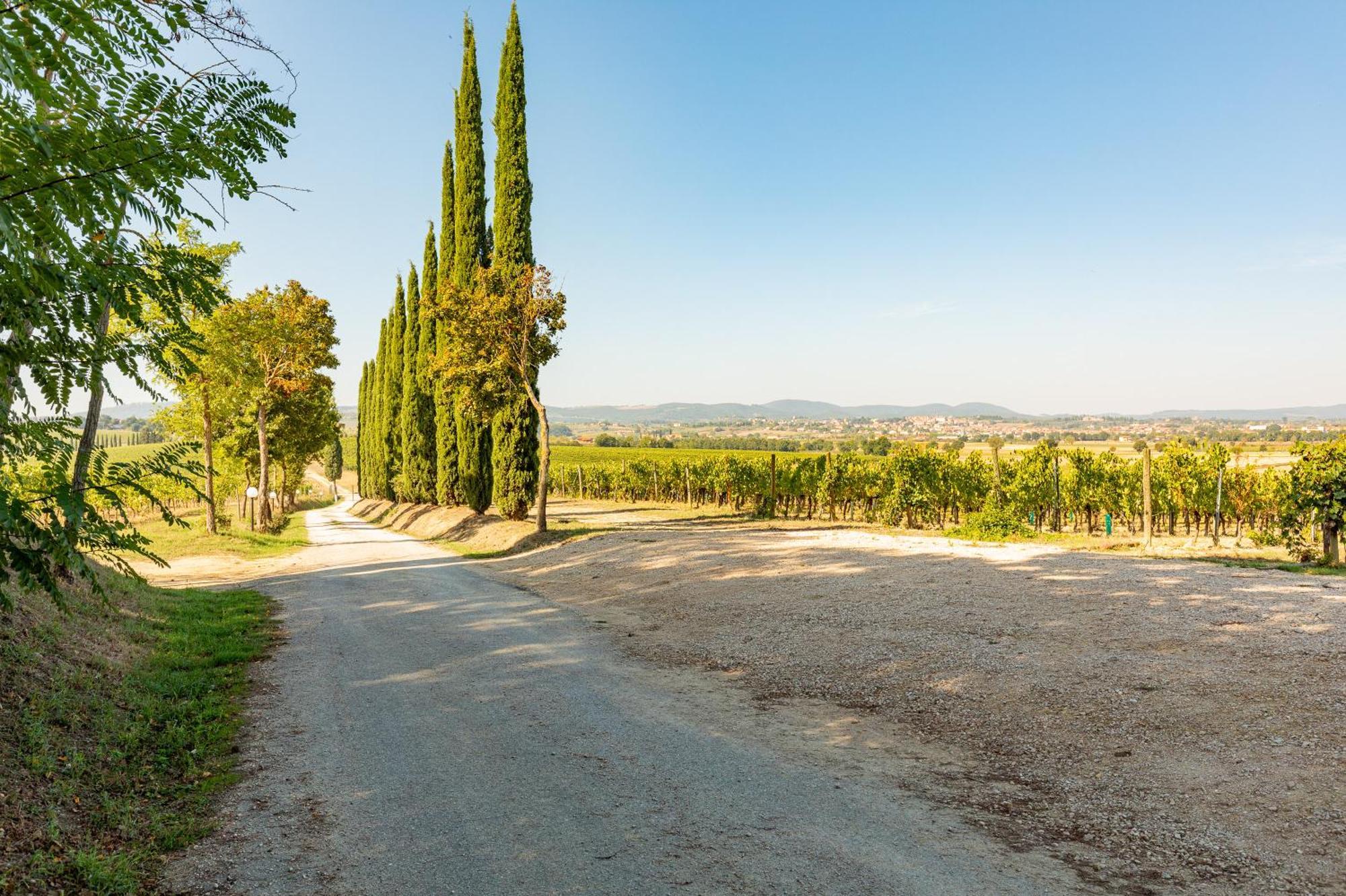 Vermentino Villa Montepulciano Stazione Esterno foto