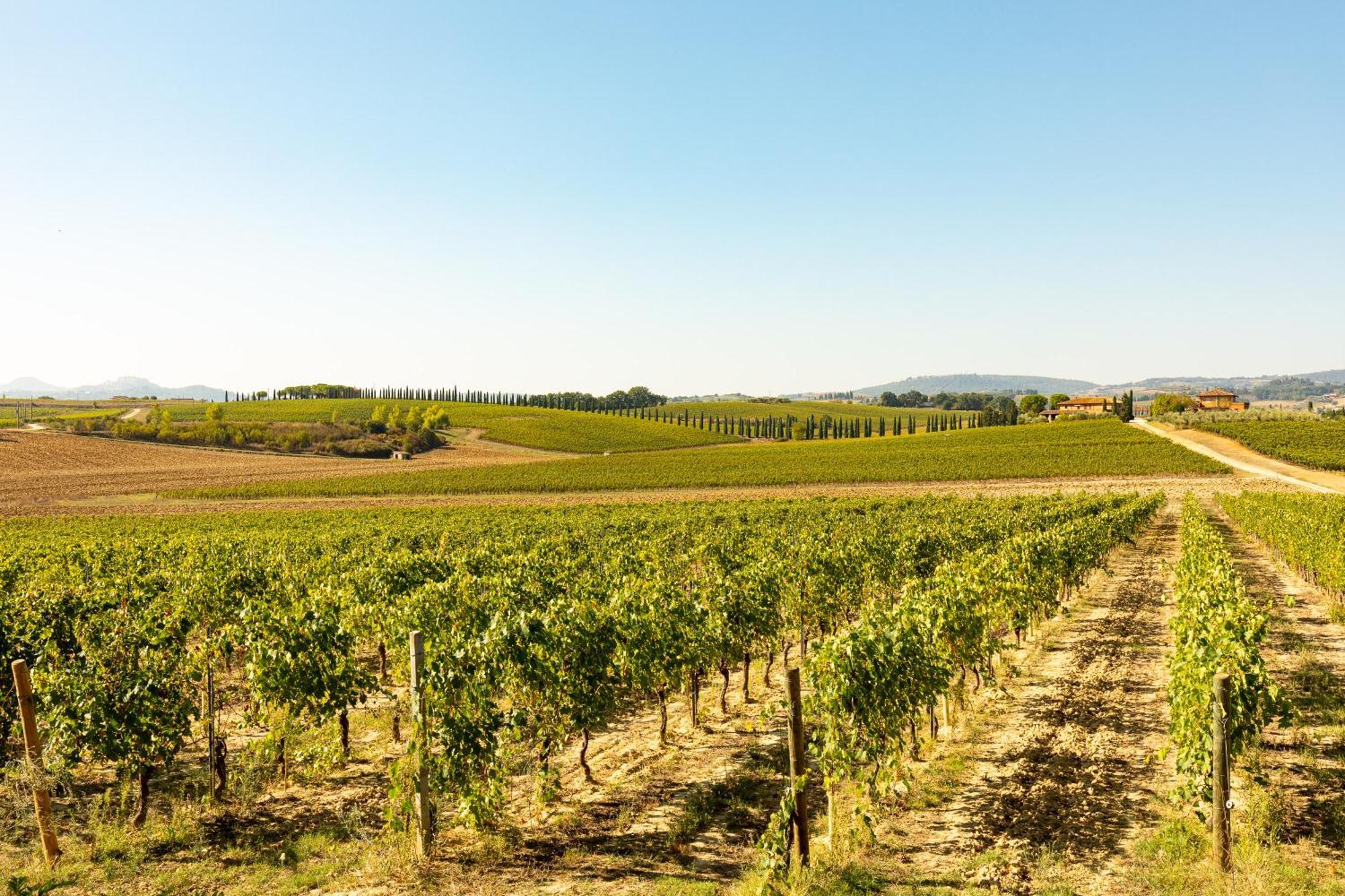 Vermentino Villa Montepulciano Stazione Esterno foto