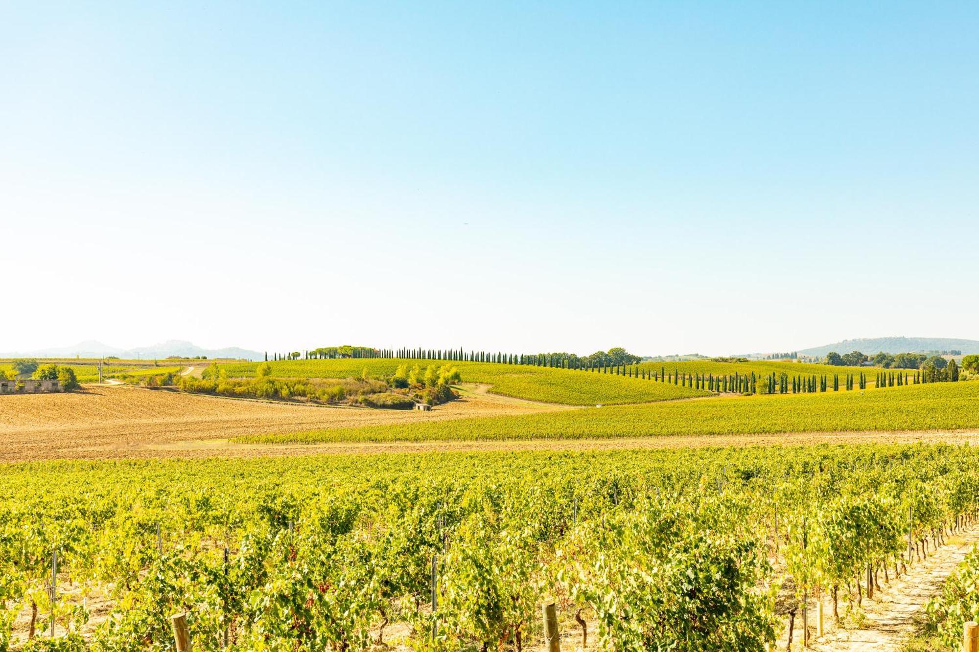 Vermentino Villa Montepulciano Stazione Esterno foto