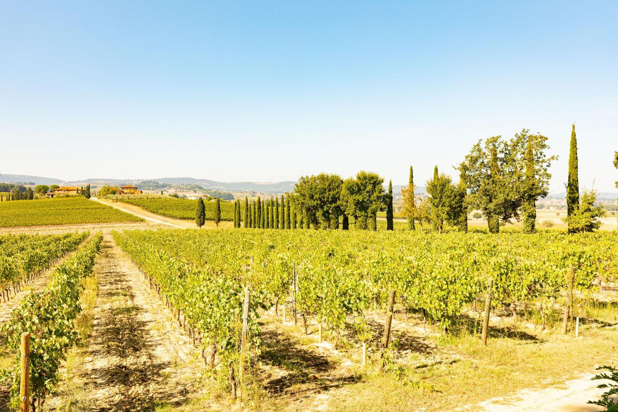 Vermentino Villa Montepulciano Stazione Esterno foto